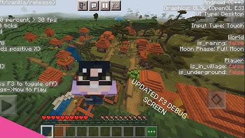 [Updated] F3 DEBUG SCREEN 2.0 ADDON MCPE