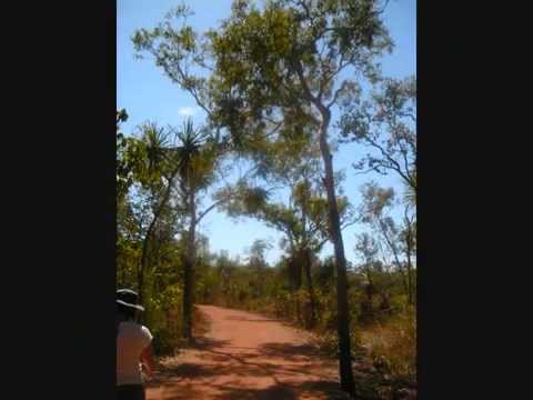 Fudge in Darwin & Kakadu National Park