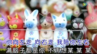 【超好听】刘佳 - 愛的就是你 MV - I love You MV