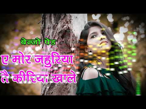 Ae Mor Jahuriya Tai Kirya Khake Dj Song  Cg New Dj Song  2020