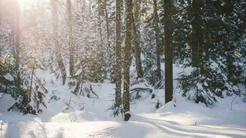 تلاوة تريح قلبك متعب