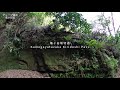 【鎌倉七口】亀ヶ谷坂（長寿寺～亀ヶ谷坂切通～海蔵寺）｜Kamegayatsuzaka Kiridoshi Pass Kamakura,Japan