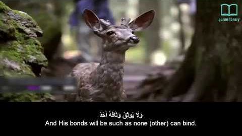 سورة الفجر - ياسر الدوسري - مترجم | Surah Al Fajr - Yasser Aldosari - English subtitles