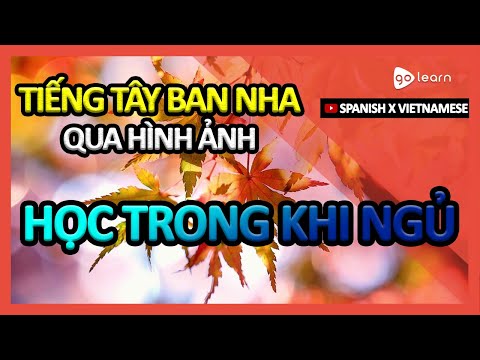 Học Tiếng Tây Ban Nha Qua Hình Ảnh |Từ Vựng Tiếng Tây Ban Nha Học Trong Khi Ngủ | Golearn