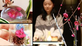 【plum blossoms 2】its fragrance lasts inside me until it blooms again #slowliving #lifestylevlog