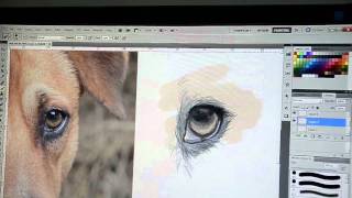 dog eye digital painting