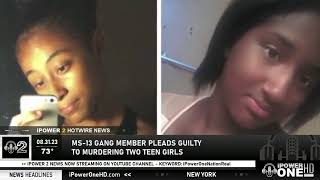 Long Island: MS-13 Gang Member Pleaded Guilty In Homicide Murder 08.31.2023