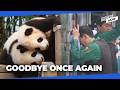Another Panda goodbye? Korea’s beloved twins may return to China this winter