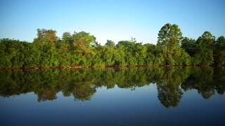 Water Reflection