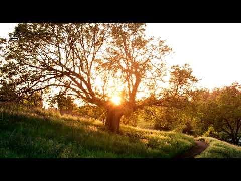 Որքա՜ն ուզում եմ մոտենալ Քեզ իմ Աստված - Սերինե Բարսեղյան  ⁄ Հոգևոր երգ