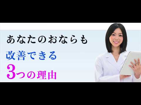 15日間簡単プログラム！オナラ体質改善プログラム・内容・効果・評判・口コミ・購入