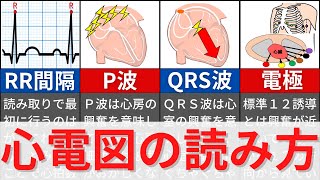 【12分で解説、10分で国試問題】心電図の基本と読み方について解説