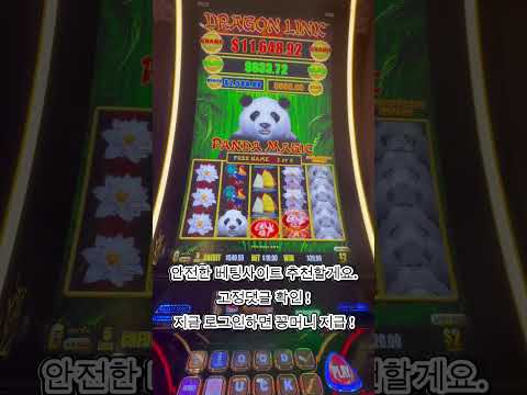 온라인 카지노 play: Κωνικ's Rabbit Road 게임 온라인 🎉 🎉