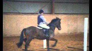 Bambi-Gridwork x
