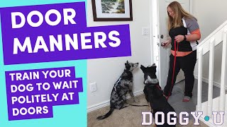 Door Manners: Train Your Dog to Wait Politely at Doors