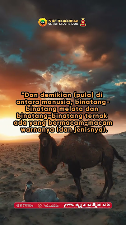 Al Fathir 28