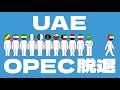 OPECとUAEの脱退についてわかりやすく解説します
