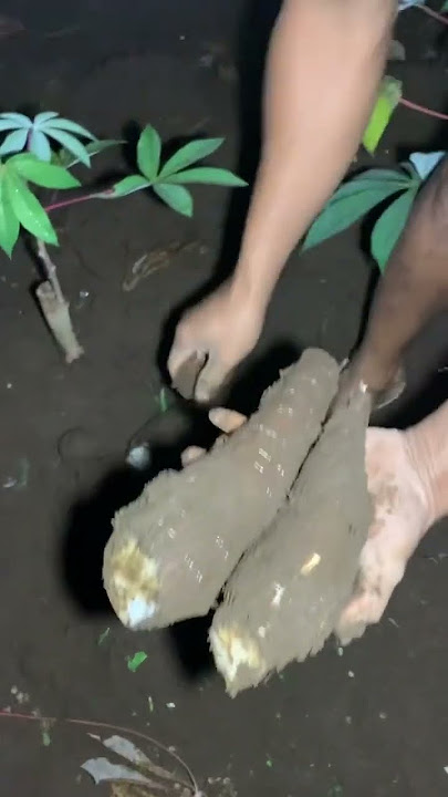 MALAM JUMAT HORROR || Lereng semeru #semeru #youtubepemula #storywa