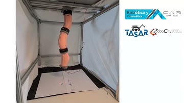 PtP control of Pneumatic Soft Robot PAUL