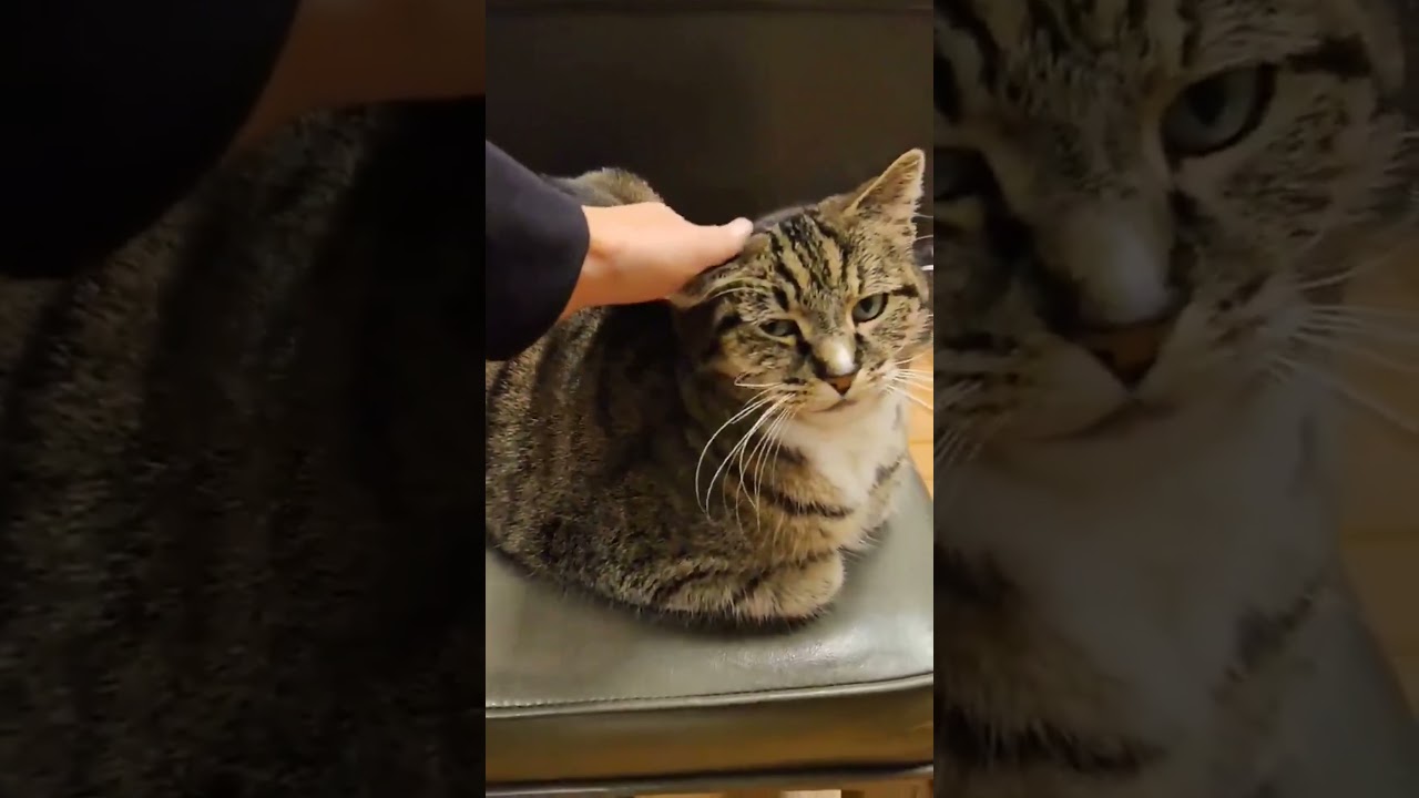 Visit of Whiskey Del Bac Distillery 