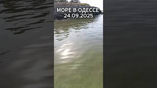 Море В Одессе 24.09.2025: Волны, Чистая Вода, Пляж И Погода Для Отличного Отдыха 🌊☀️ 2