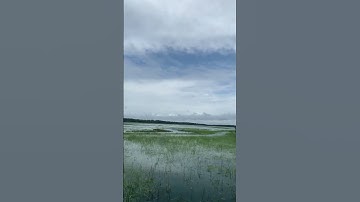 #sreeragamo #mohanlal #shobana #shortsvideo #viralvideos #song #short #shorts #nature #trending
