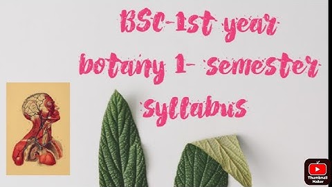 BSC 1st year || botany (1- semester syllabus)|| mjpru || up .