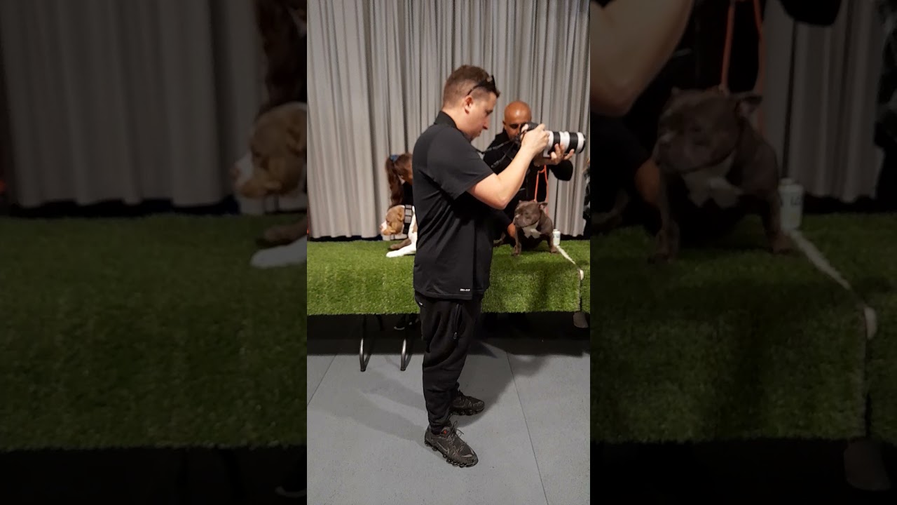 Stack-off ! ABR SHOW