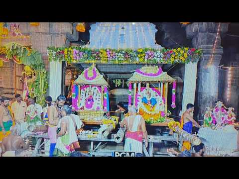 நாள் 4 ஆனித் திருவிழா 2026 நெல்லையப்பர் காந்திமதி அம்மன்