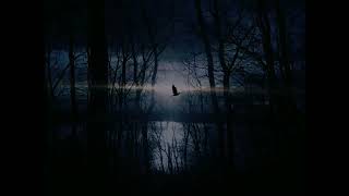 EL SILBACO                                            HISTÓRIA DE TERROR REYES REYES-BENI-BOLIVIA 🇮🇩