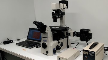 Nikon TE2000-U Inverted Microscope Fluorescence Phase Contrast [BOSTONIND] - 15759 Nikon