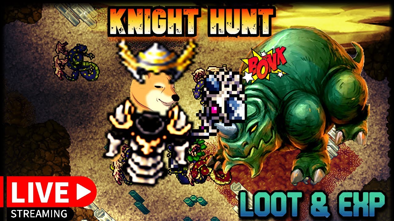 Knight Tibia Bosses Tibia / full profit ⚔️ #tibia #knights #tibiahunt - YouTube