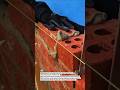 Uneven Mortar Application Causes Weak Brick Bonding#Bricklaying #Masonry #Construction