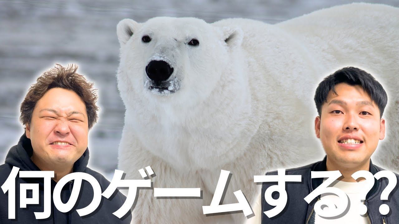 switch2でゲームします！※時間前後する可能性あり【ダブルヒガシのゲーム列伝】