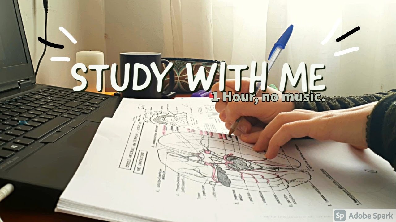 STUDY WITH ME 1 Hour Real Time no Music No Break YouTube study-with-me-1-hour-real-time-no-music-no-break-youtube
