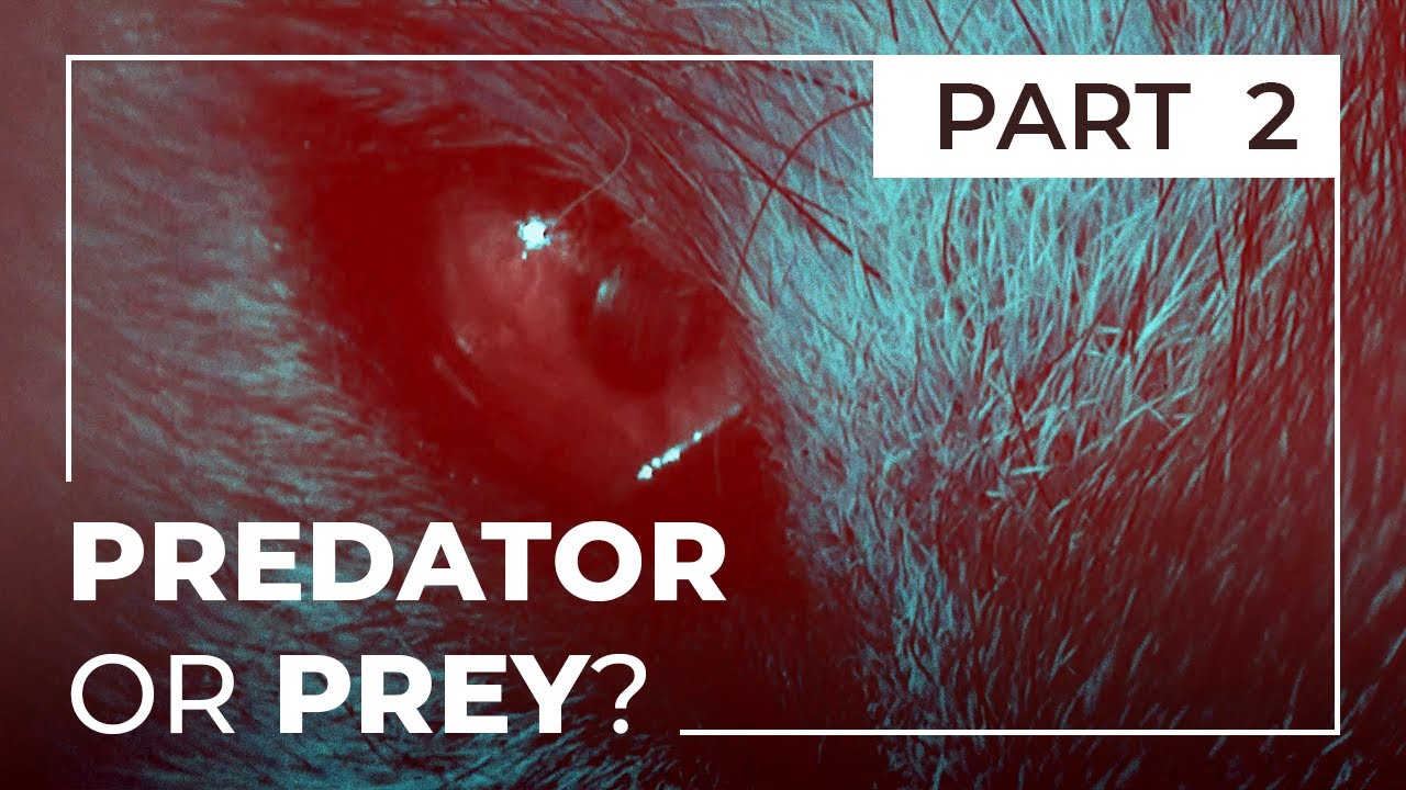 LOONAverse Basics 2: Common Misconceptions