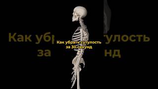 Как убрать сутулость за 30 секунд? #здоровье #спорт #йогажурнал #осанка #здороваяэнергия