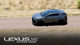 NX Gas Options | Lexus NX