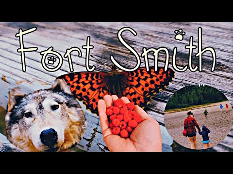 Tales from the Territorial Park - STOP #3 The Queen Elizabeth - Fort Smith NWT 🏕️💚🐻