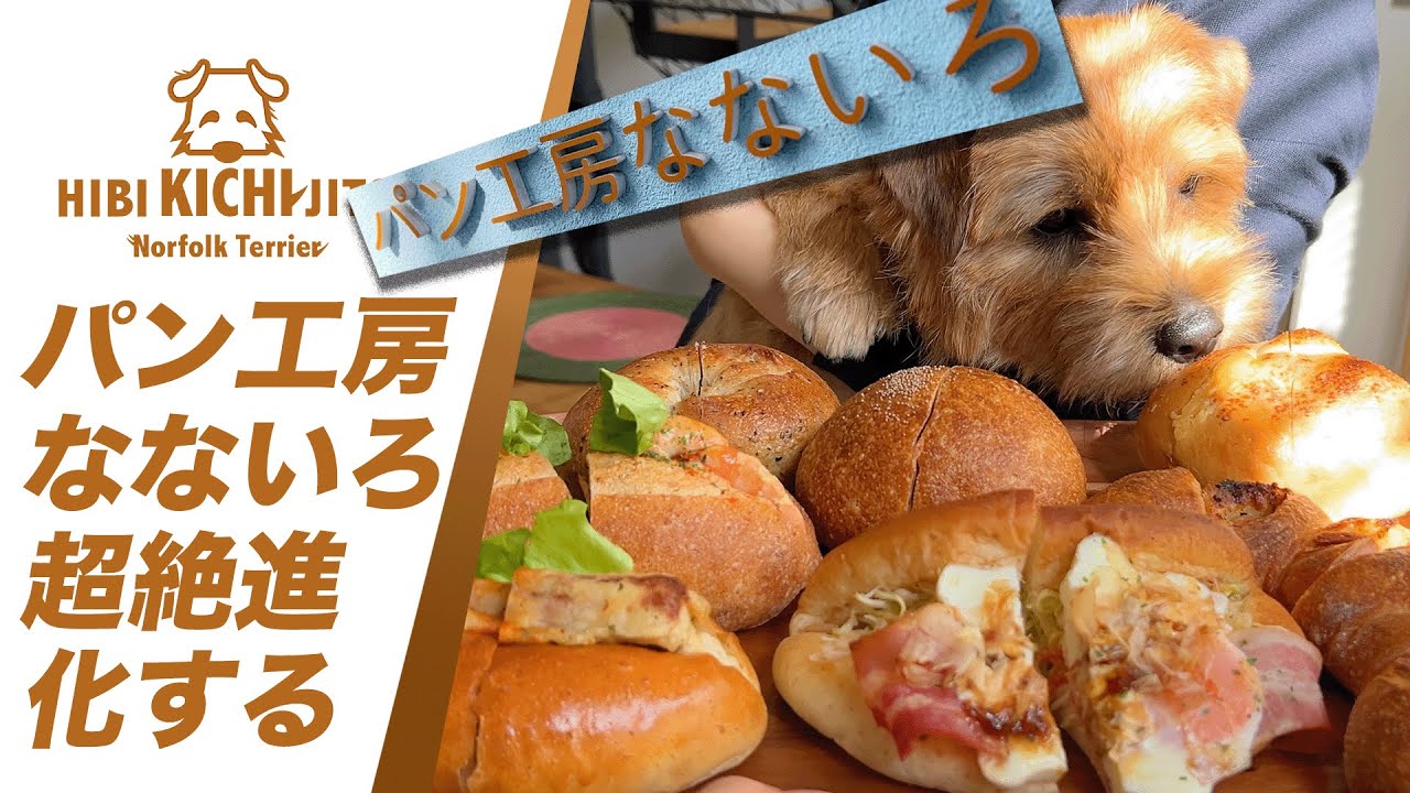 パン工房【なないろ】6 超絶進化する【bread bakery パン norfolkterrier 愛犬キチ】