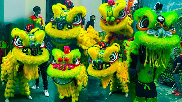 Múa Lân Khai Quang Điểm Nhãn Lân Sư Rồng 2025 / LSR Oai Dũng