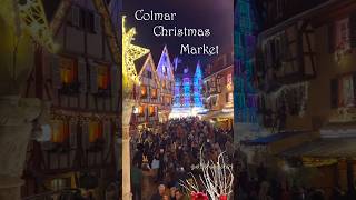 Christmas Market in Colmar! コルマールのクリスマスマーケット #コルマール #アルザス地方 #クリスマスマーケット