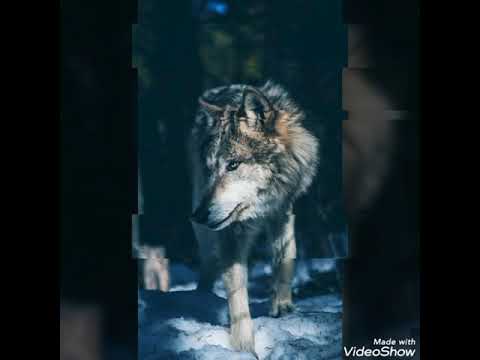 اغنية بنده عليك اغنية حزينه جدا