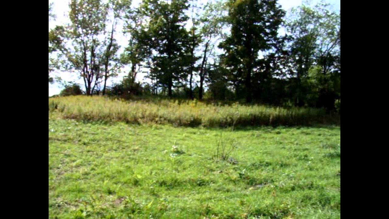 Tug Hill NY Land for Sale 33 acres YouTube