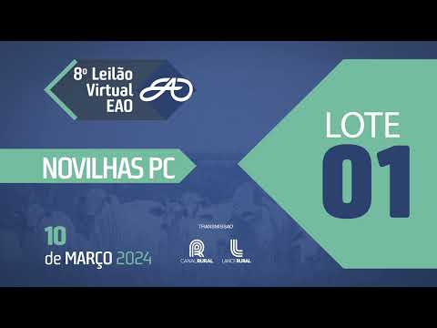 LOTE 01