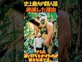 【ゆっくり解説】 ギガントピテクスが絶滅した理由