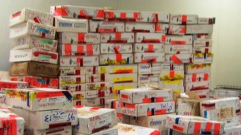 Forgotten evidence from untested rape kits could bring justice to victims