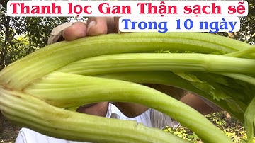 Thanh lọc Gan Thận sạch sẽ sao 10 ngày từ rau Cần Tây rất đơn giản. PHAN HẢI Channel