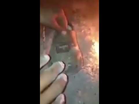 بابوج ابو كلبيش