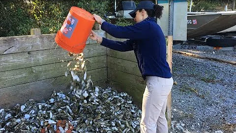 Good Catch Goes Local: SCDNR's Oyster Shell Recycl...
